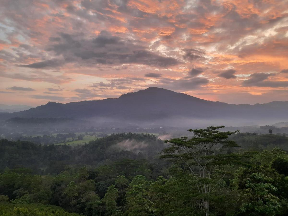 Terrace Cinnamon View Ratnapura Exterior photo